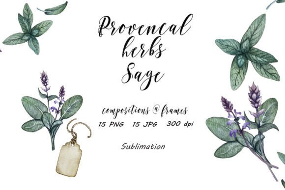 Download Sage Provence Herbs Sublimation JPG, PNG - Provence Collection
