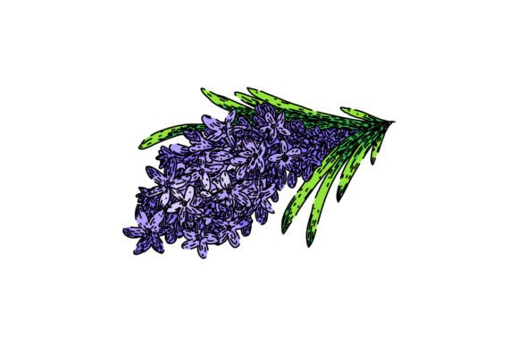 Download Provence Lavender Sketch Hand Drawn Vect - Provence Collection